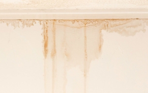 Wall Water Leakage Solutions